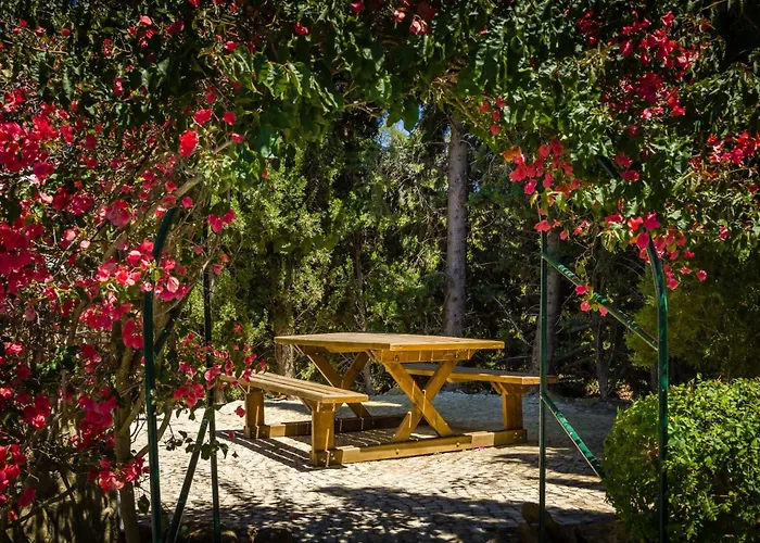 Villa Caracol With Heated Pool & Mini-golf