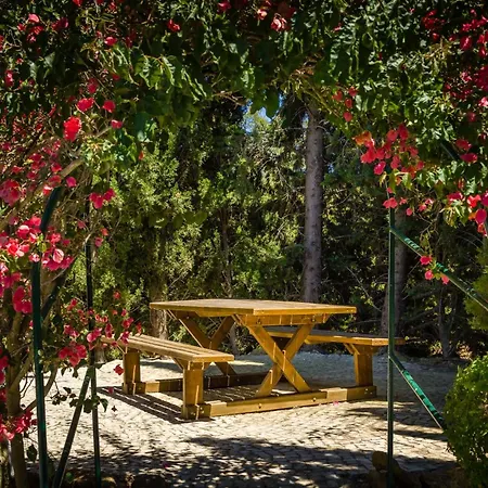 Villa Caracol With Heated Pool & Mini-golf